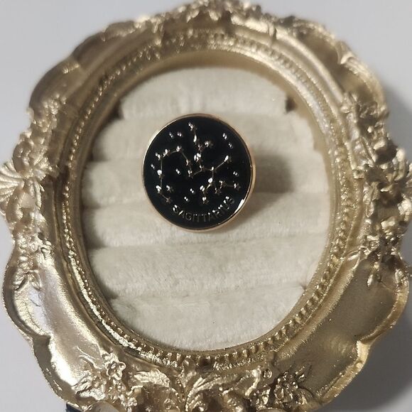 Gold and Black Sagittarius Pin - Picture 1 of 4